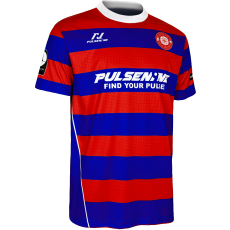 PULSENINE 2026 VER.4