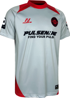 PULSENINE 2026 VER.9